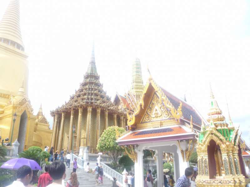 P1100459_800x600.JPG